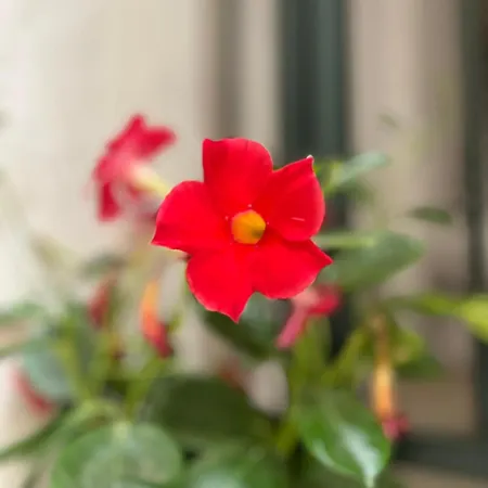 La Casa Di Marge Апартаменти Санремо