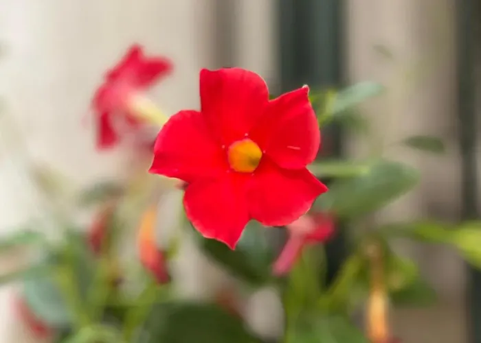 La Casa Di Marge Апартаменти Санремо